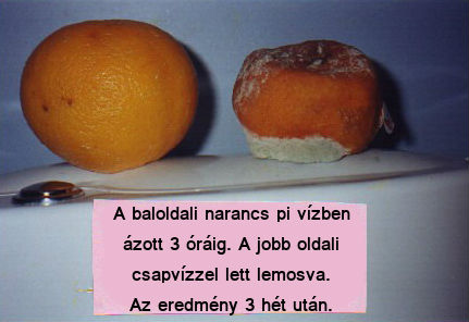 Pi Víz narancs gyümölcs kísérlet